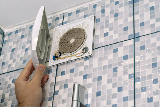 Air Duct Mold Removal in Houma, LA