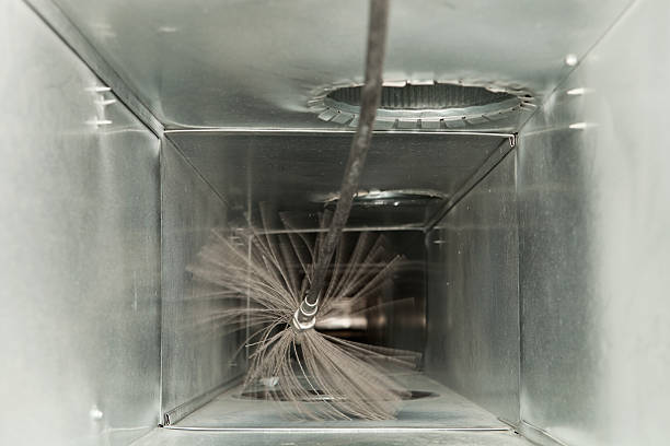 Best Air Duct Mold Removal  in Houma, LA