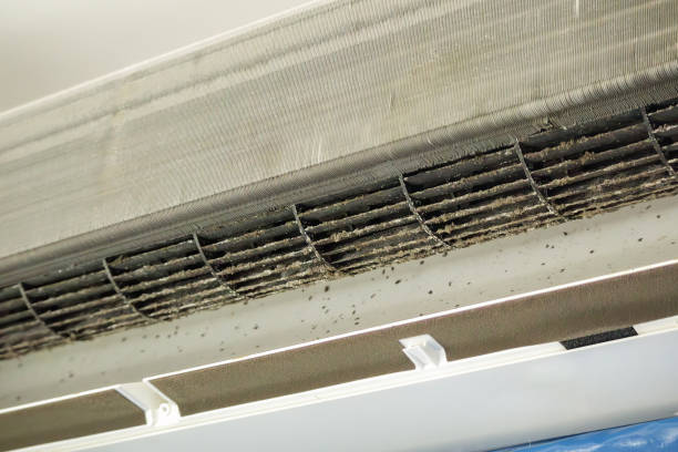 Best Best Air Duct Cleaning Company  in Houma, LA